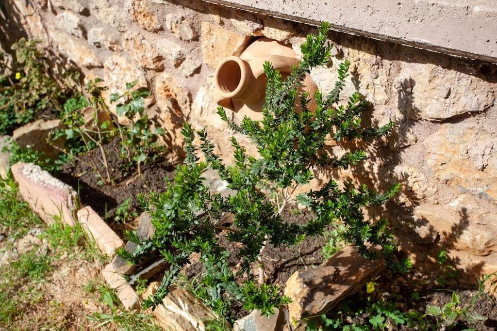 Chania Paradise Retreat Rodhopos المظهر الخارجي الصورة