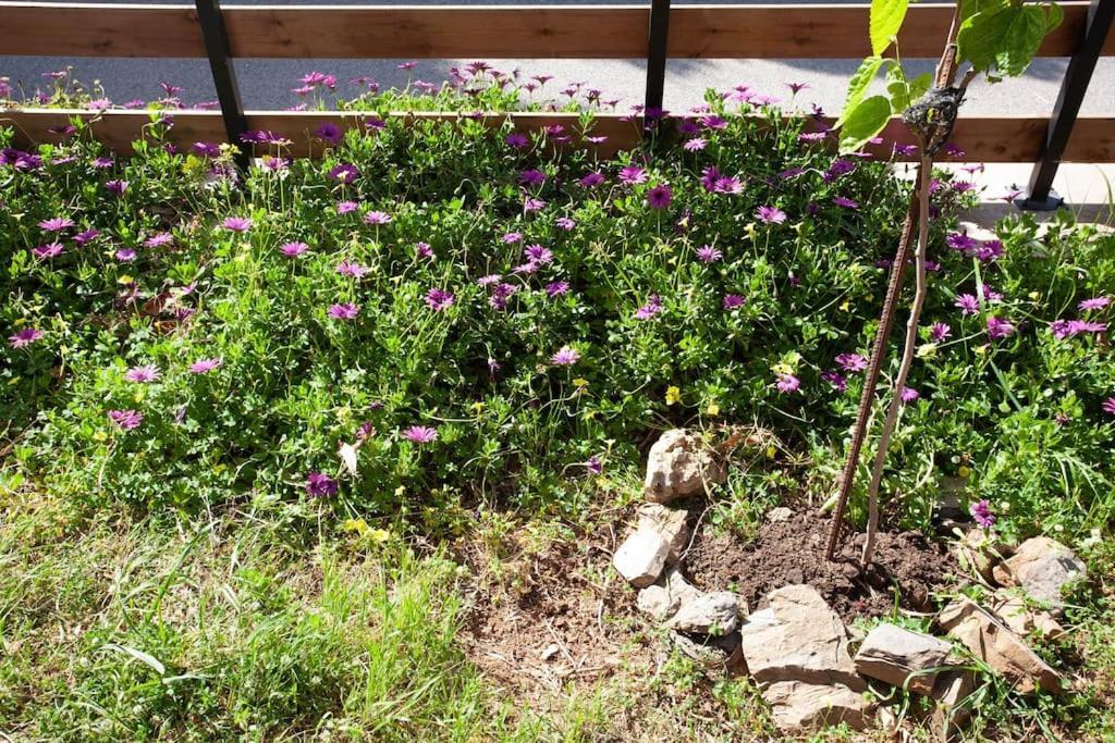 Chania Paradise Retreat Rodhopos المظهر الخارجي الصورة